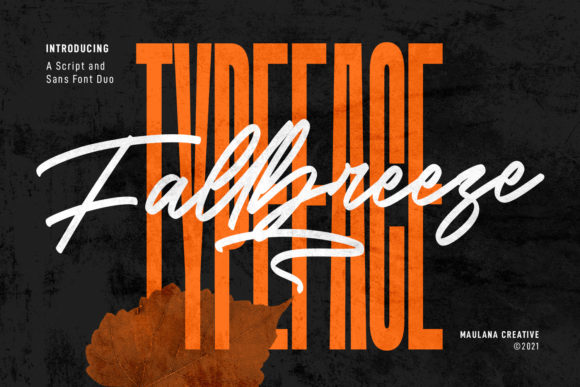 Fallbreeze Duo: Crafting a Friendly and Branded Visual Voice