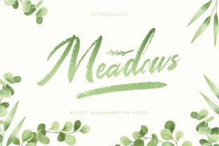 Meadows: The Playful Script for Stunning Calligraphy